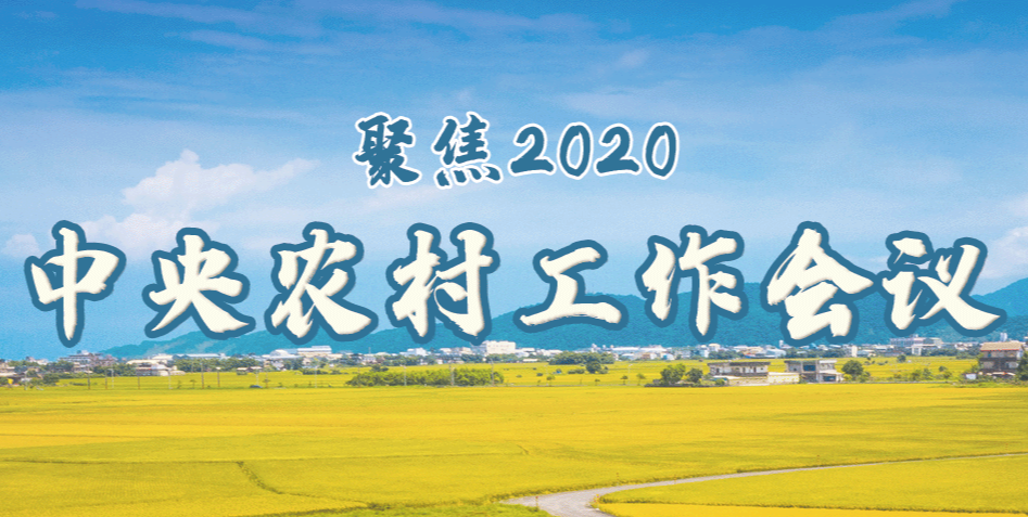 聚焦2020中央农村工作会议